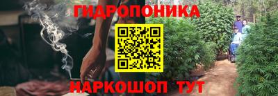 мяу мяу мука Камышлов
