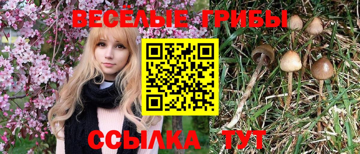 Псилоцибиновые грибы Magic Shrooms Лабытнанги