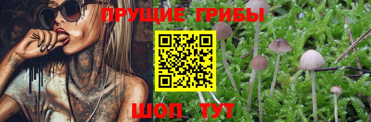 Псилоцибиновые грибы мухоморы Лабытнанги